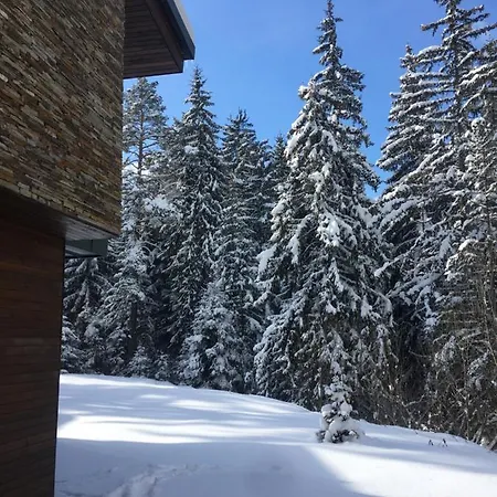 Borovets Chalets ヴィラ *