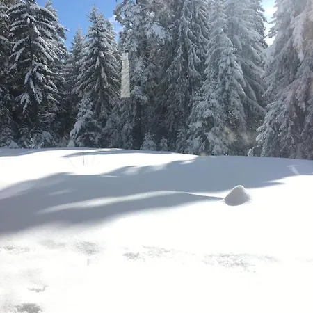 Borovets Chalets *