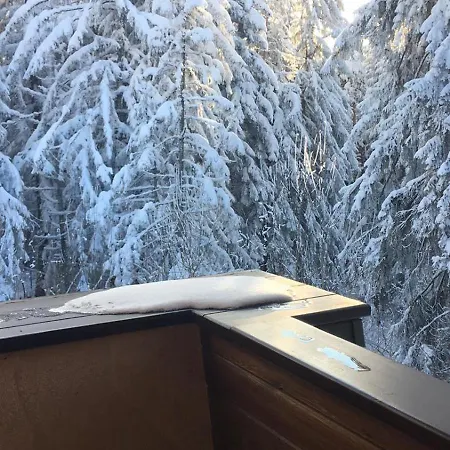 빌라 Borovets Chalets
