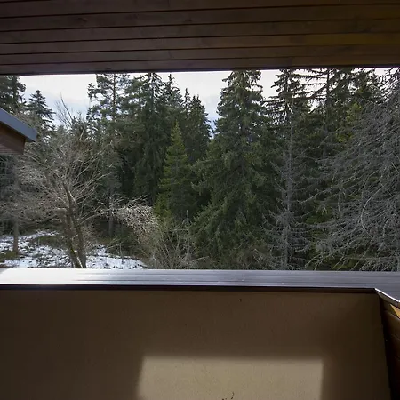 ヴィラ Borovets Chalets ボロヴェッツ