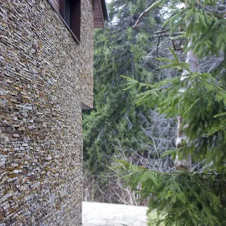 Borovets Chalets ヴィラ *