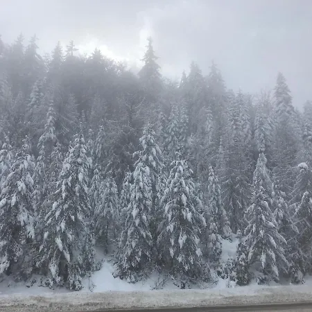 Borovets Chalets *