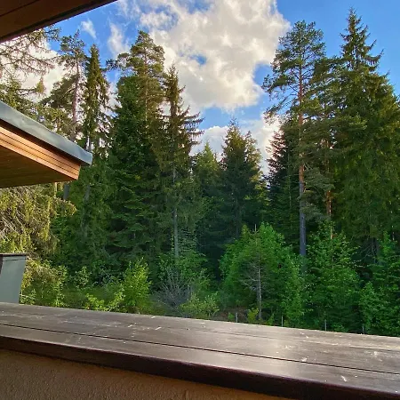 빌라 Borovets Chalets 보로베츠