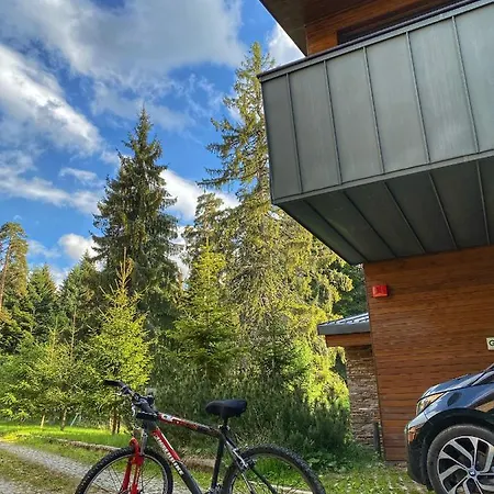 ヴィラ Borovets Chalets *
