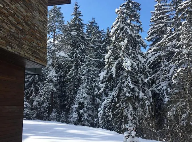 Borovets Chalets Vilă *