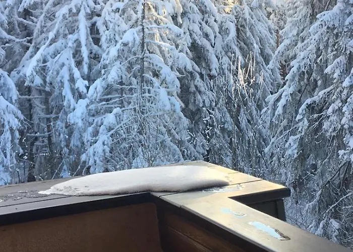 Vilă Borovets Chalets