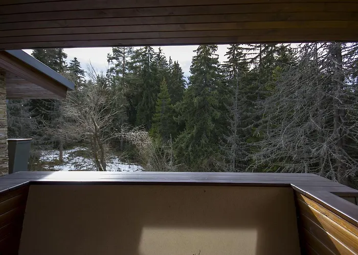 Vilă Borovets Chalets Boroveț