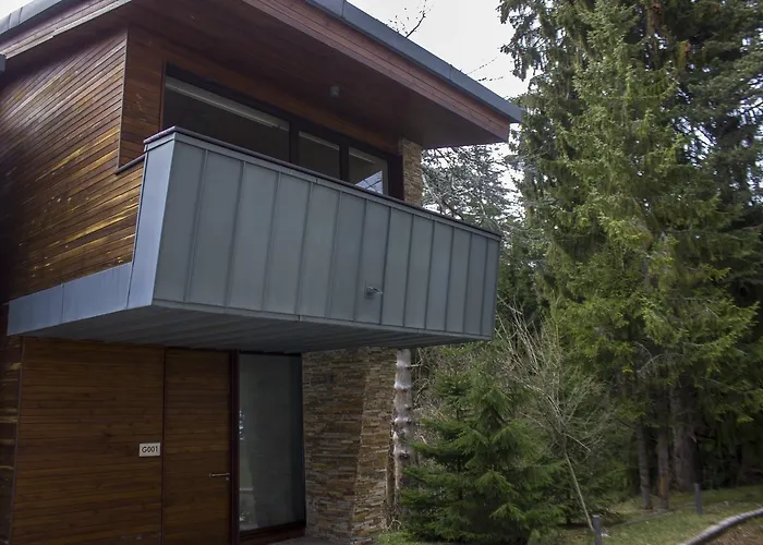 Vilă Borovets Chalets