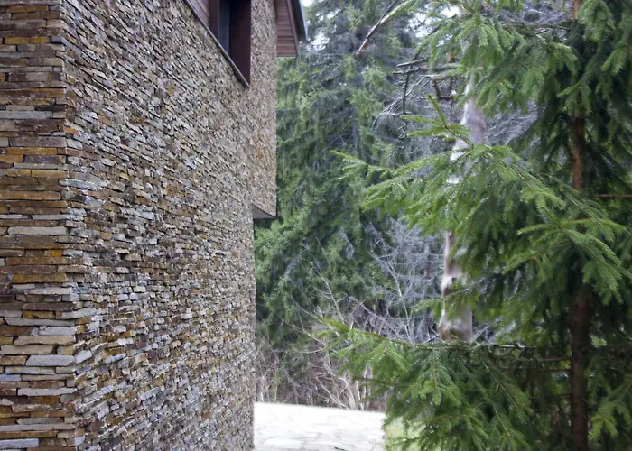 Borovets Chalets Vilă *