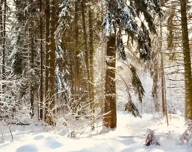 Borovets Chalets Vilă *