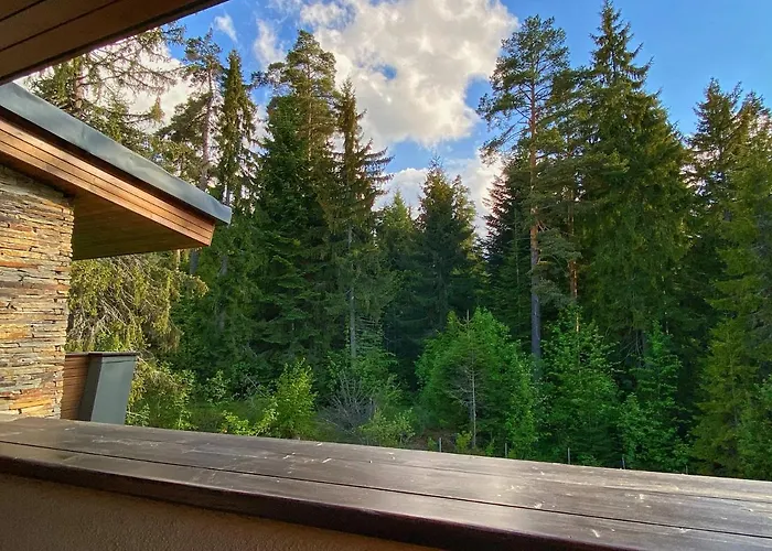 Vilă Borovets Chalets Boroveț