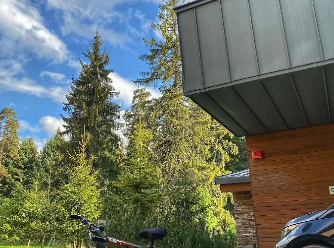 Vilă Borovets Chalets *